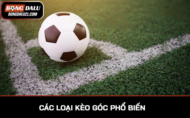 Các loại kèo góc phổ biến